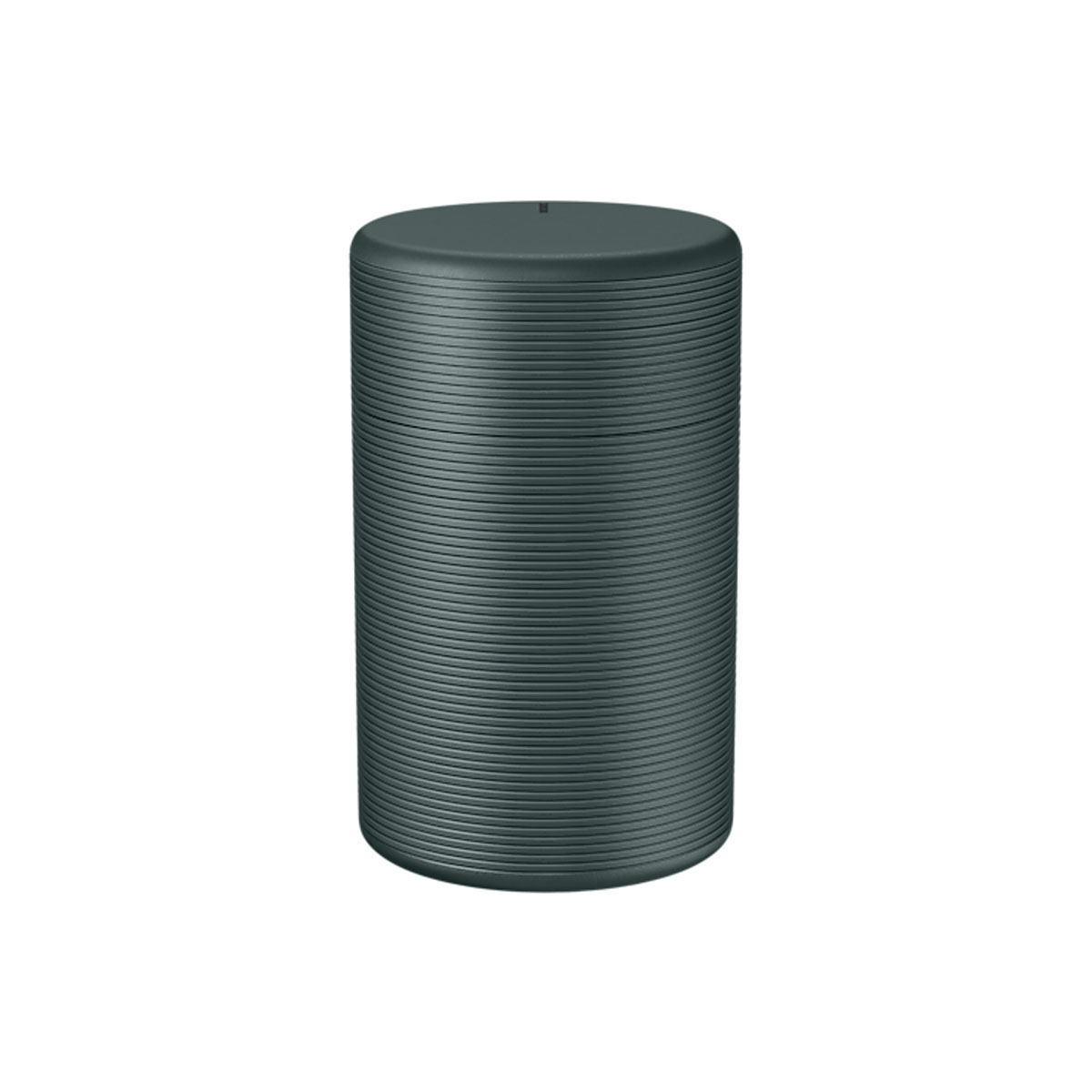 SAMSUNG The Freestyle Carrying Case (VGSCLA00G)